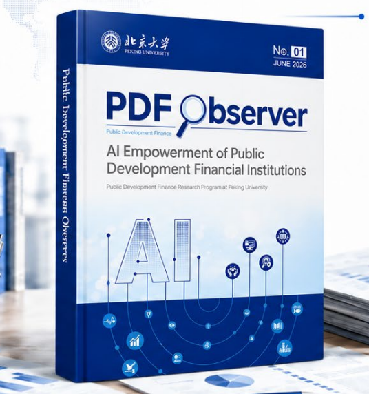 Public Development Finance Observer